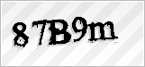 CAPTCHA security code