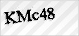 CAPTCHA security code